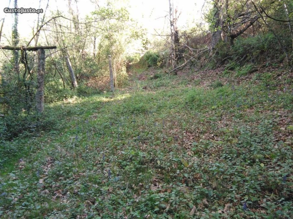 Terreno para Venda em Luzim Foto 7