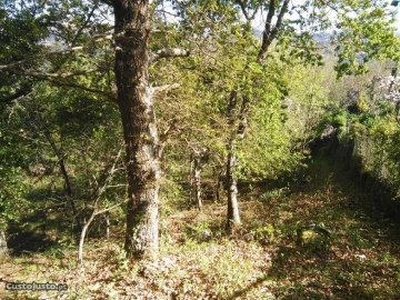 Terreno para Venda em Luzim
