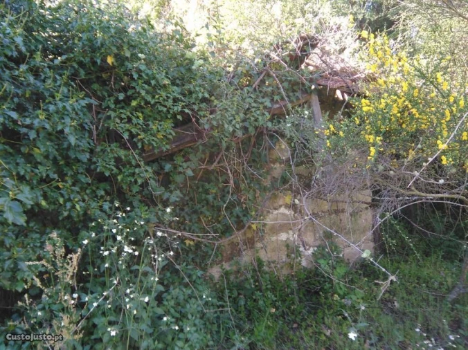 Terreno para Venda em Luzim Foto 6