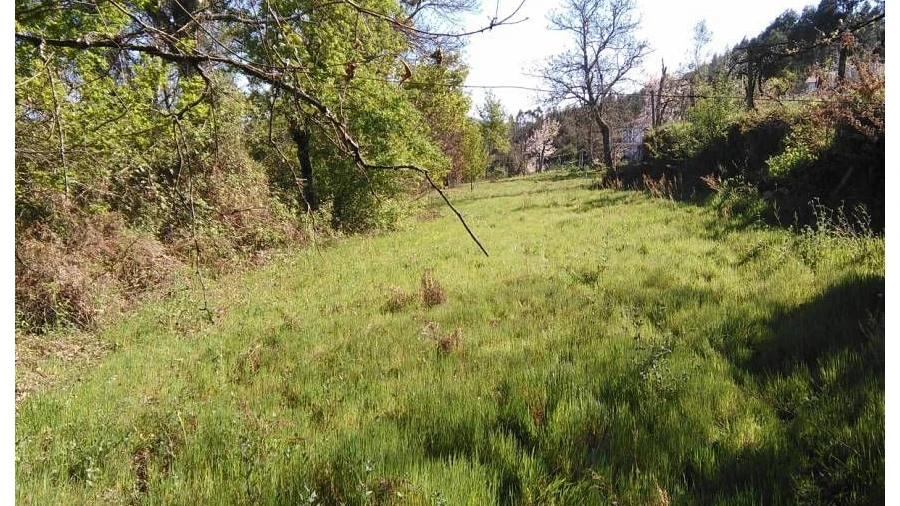 Terreno para Venda em Luzim