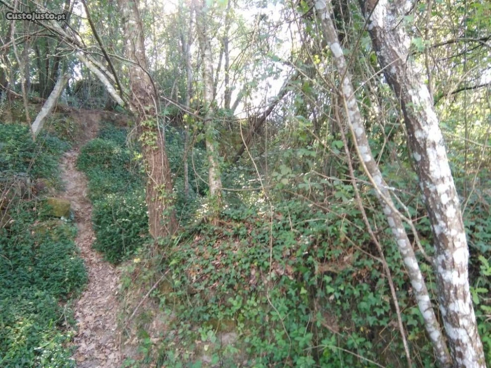Terreno para Venda em Luzim Foto 1