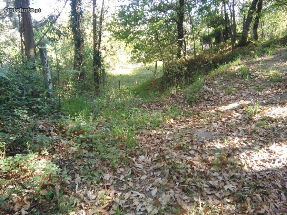 Terreno para Venda em Luzim Foto 2