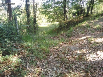 Terreno para Venda em Luzim