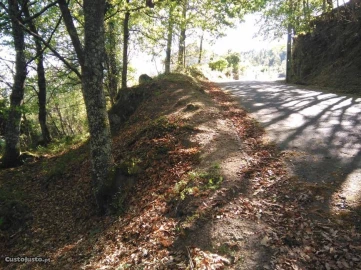 Terreno para Venda em Luzim