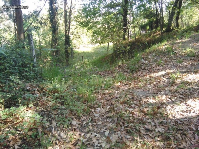 Terreno para Venda em Luzim Foto 2