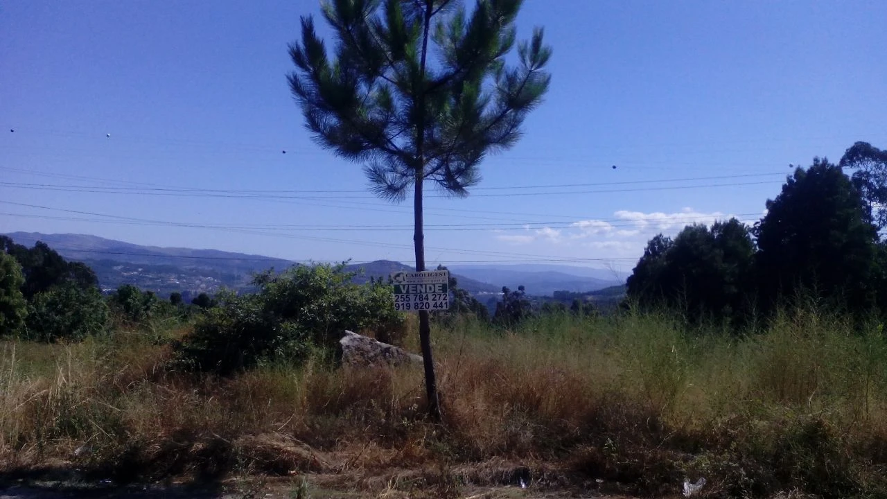 Terreno P/ Prédio para Venda em Vila Cova Foto 3
