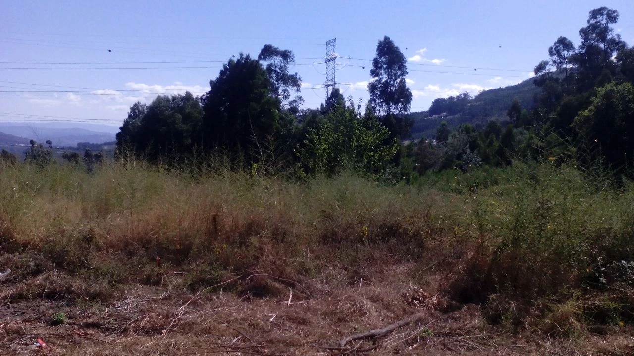 Terreno P/ Prédio para Venda em Vila Cova Foto 4