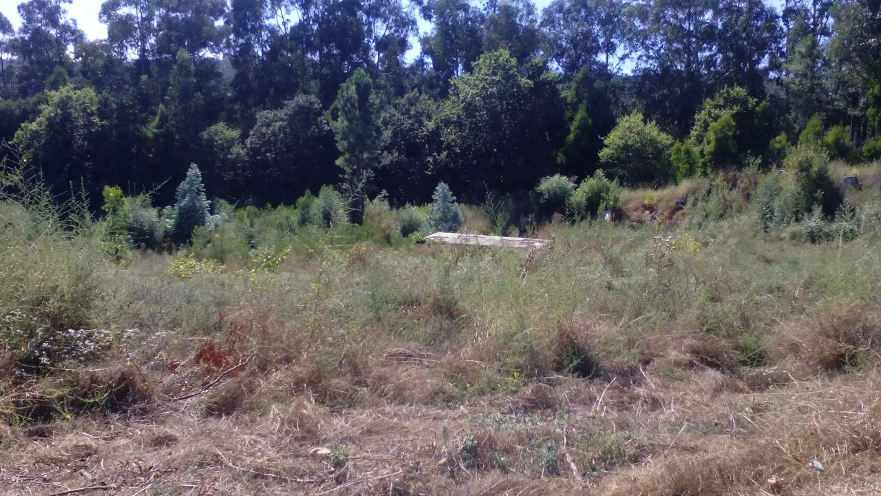 Terreno P/ Prédio para Venda em Vila Cova Foto 7