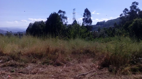 Terreno P/ Prédio para Venda em Vila Cova