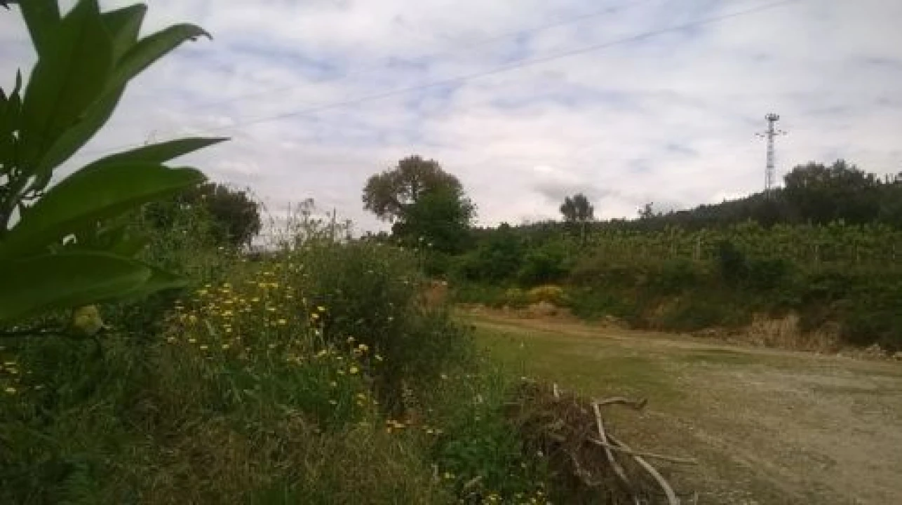 Terreno para Venda em Lagares Foto 2