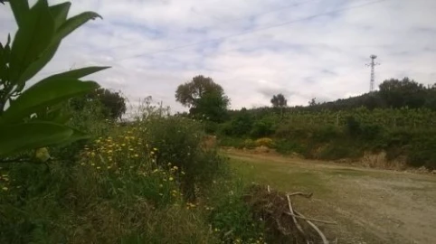 Terreno para Venda em Lagares