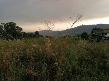Terreno para Venda em Vila Cova