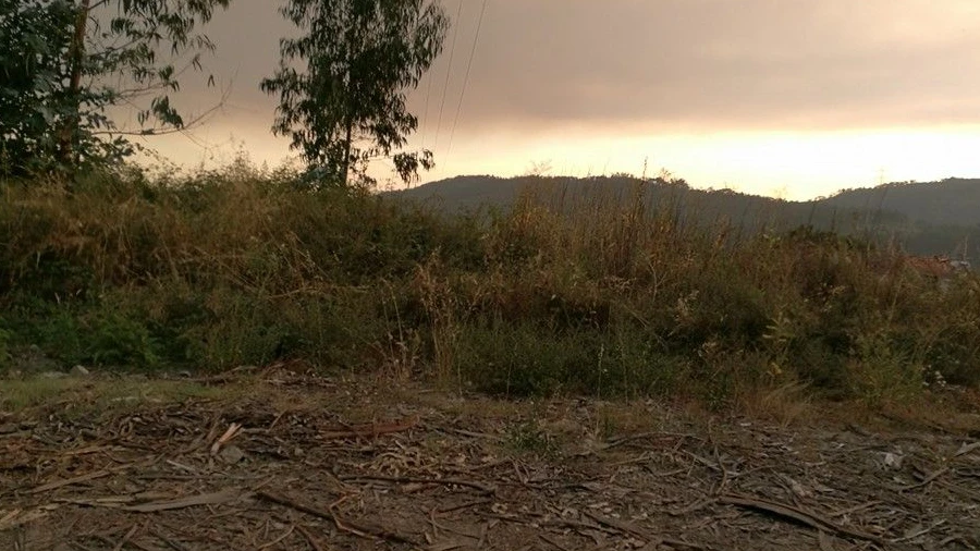 Terreno para Venda em Vila Cova