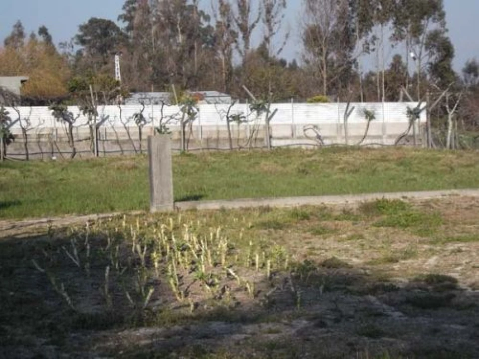 Terreno para Venda em São Mamede de Recezinhos Foto 4