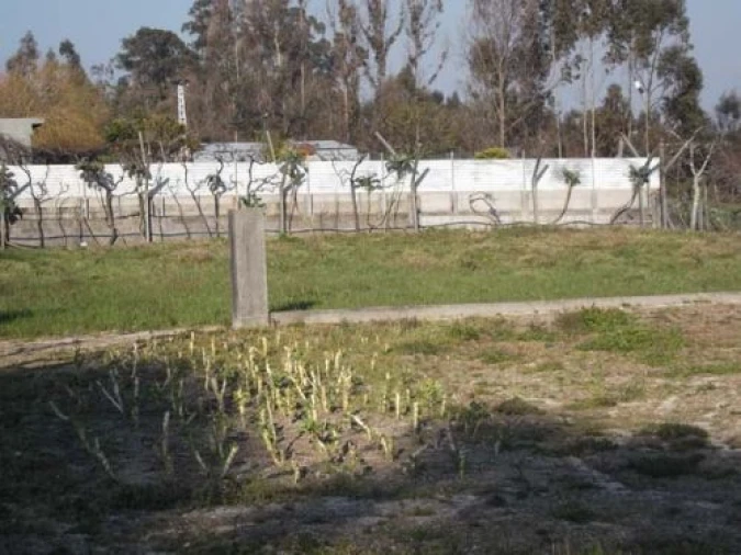 Terreno para Venda em São Mamede de Recezinhos Foto 4