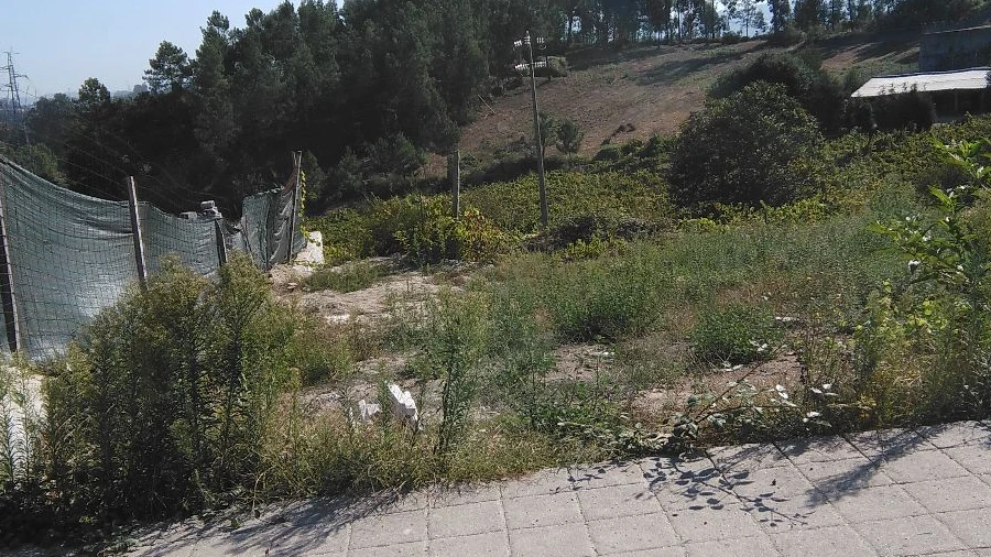 Terreno para Venda em Besteiros