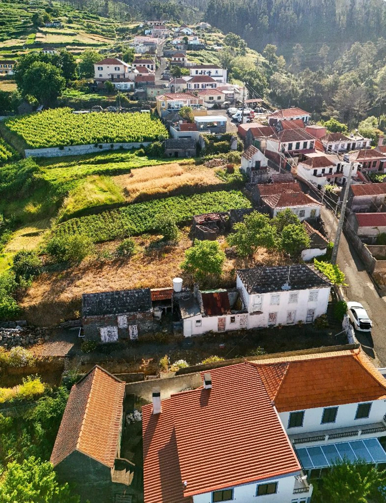Moradia T3 para Venda em Fajã da Ovelha Foto 5