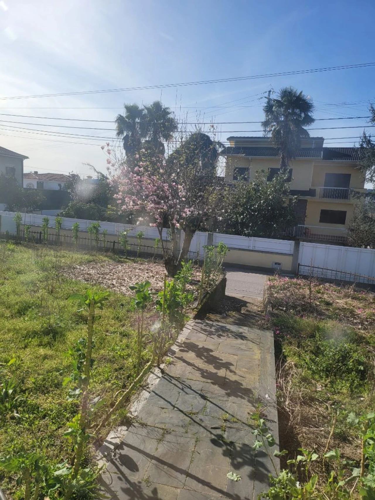 Moradia T3 para Venda em Paredes Foto 35