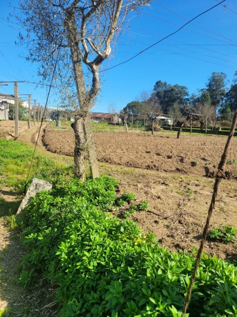 Moradia T3 para Venda em Paredes
