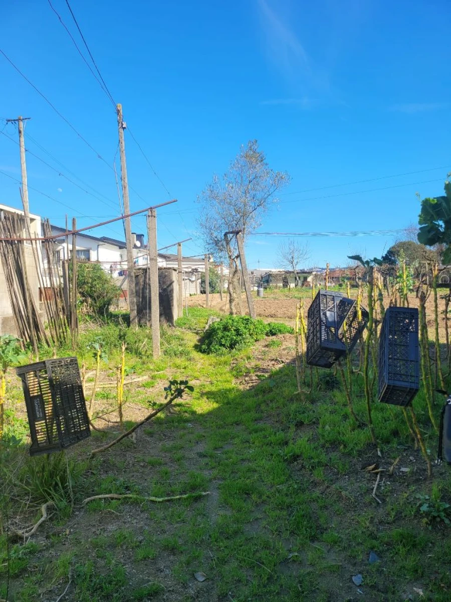 Moradia T3 para Venda em Paredes Foto 30