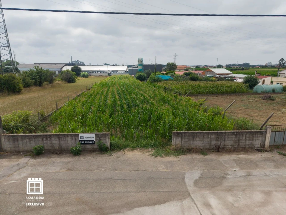Terreno para Venda em Válega Foto 2