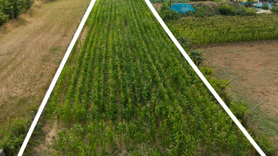 Terreno para Venda em Válega