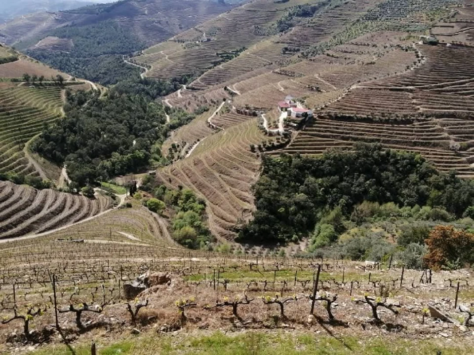 Quinta T6 para Venda em Guiães Foto 1