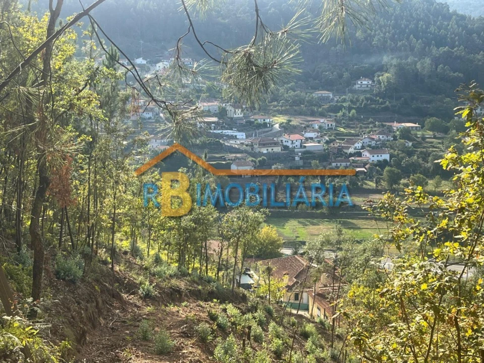 Terreno para Venda em Costa Foto 4