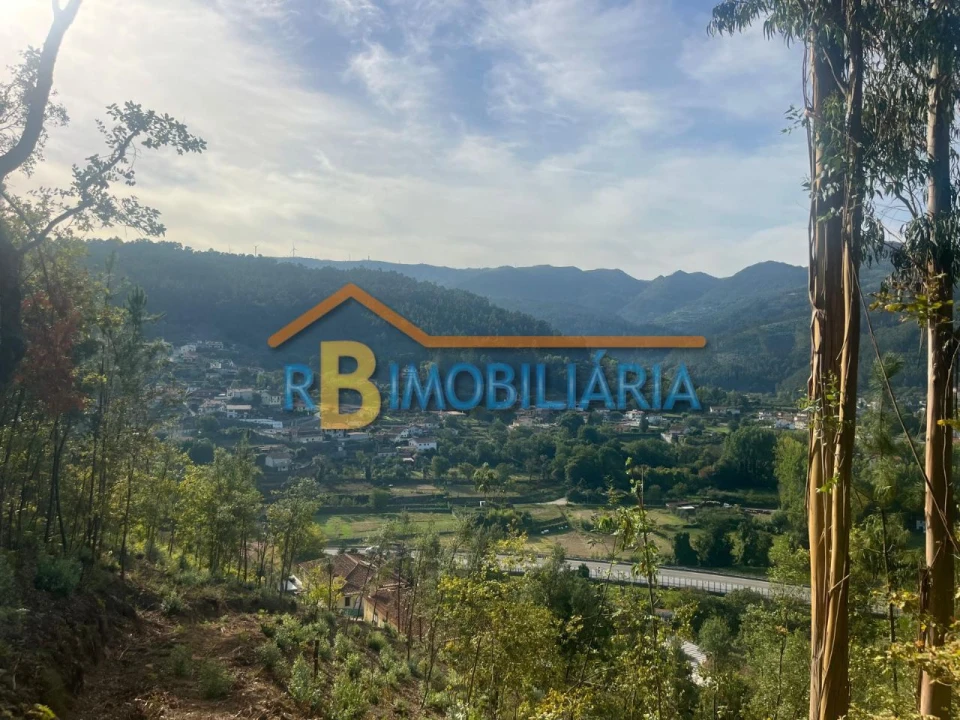 Terreno para Venda em Costa Foto 5