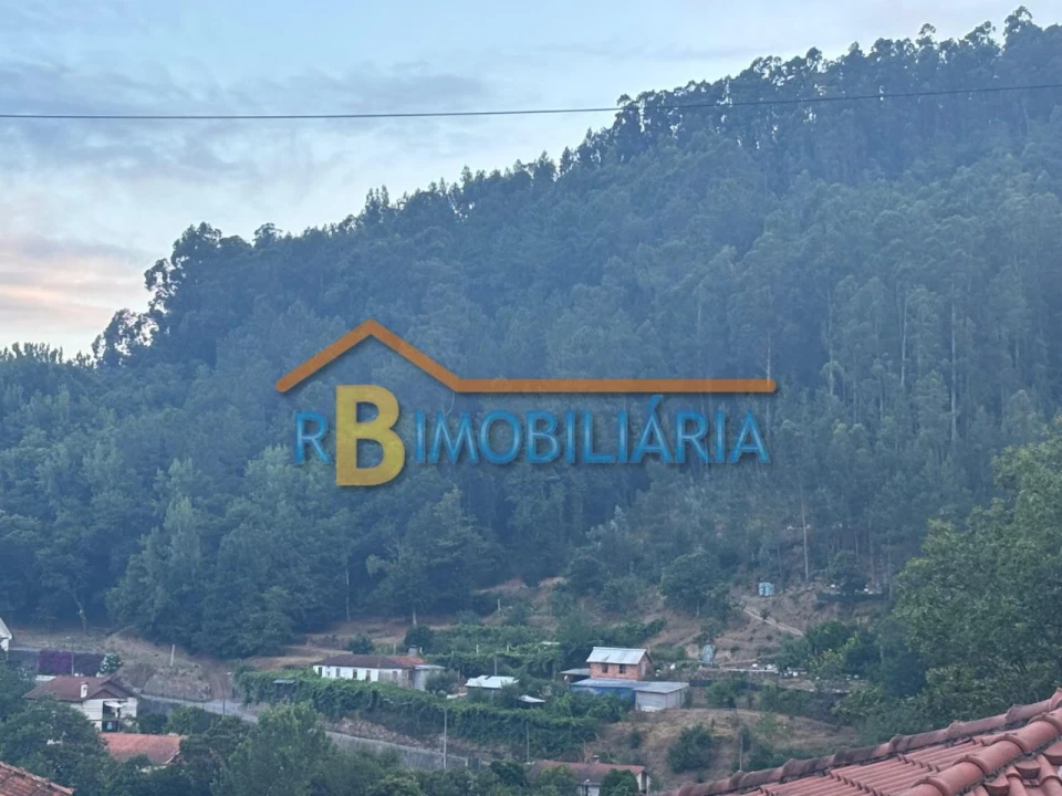 Quinta para Venda em Rossas Foto 1