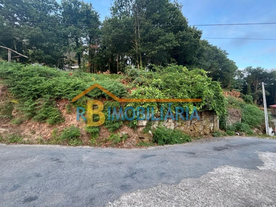 Quinta para Venda em Rossas Foto 3