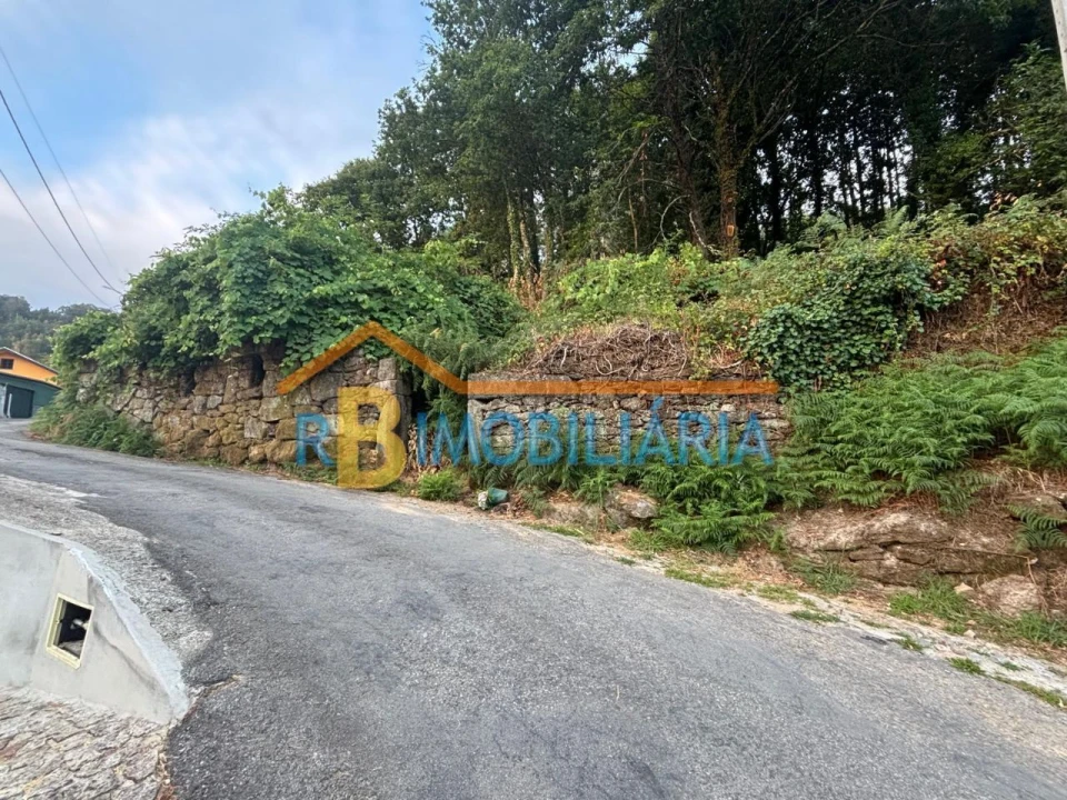 Quinta para Venda em Rossas Foto 5