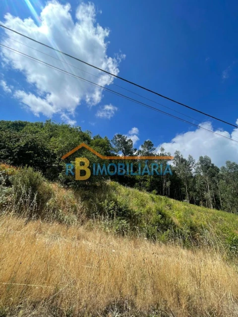 Quinta para Venda em Rossas