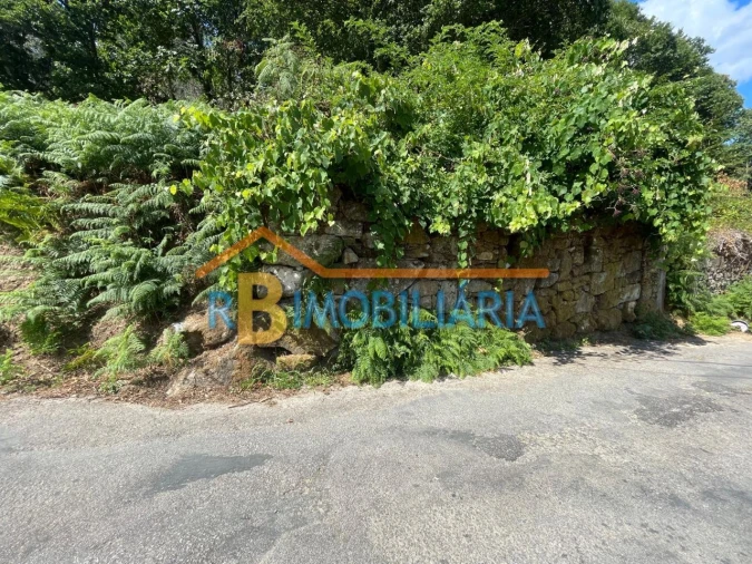 Quinta para Venda em Rossas Foto 9