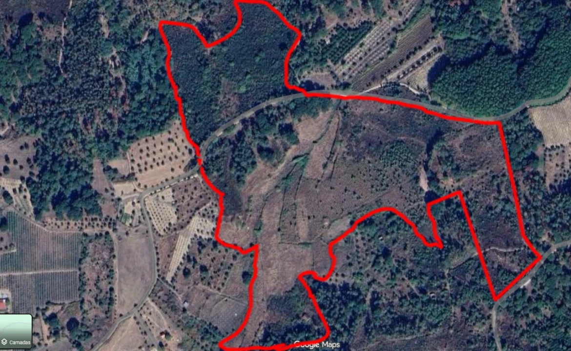 Terreno para Venda em Lobelhe do Mato Foto 1