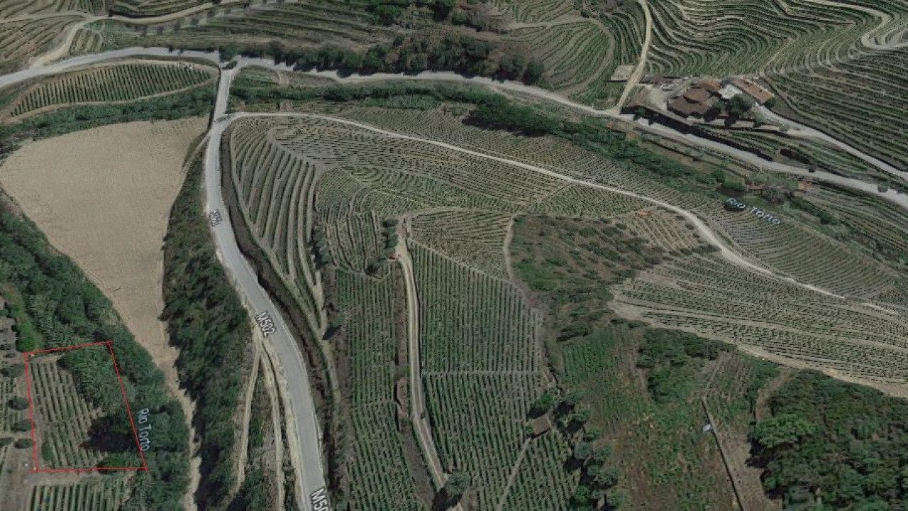 Terreno Agricola ou Rústico para Venda em Ervedosa do Douro Foto 2