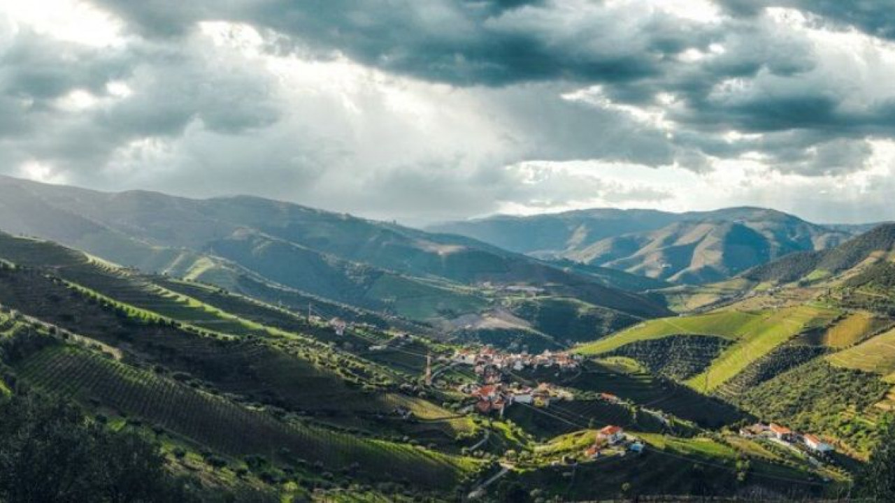 Terreno Agricola ou Rústico para Venda em Ervedosa do Douro Foto 4