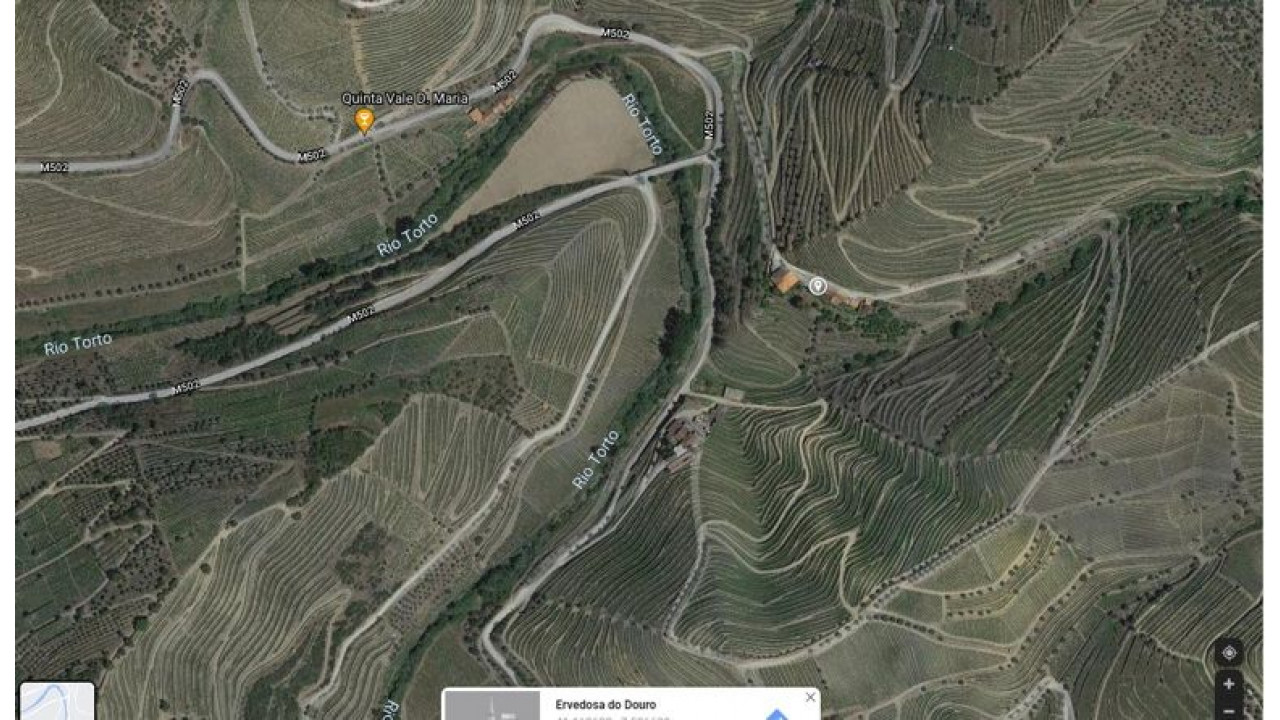 Terreno Agricola ou Rústico para Venda em Ervedosa do Douro Foto 10