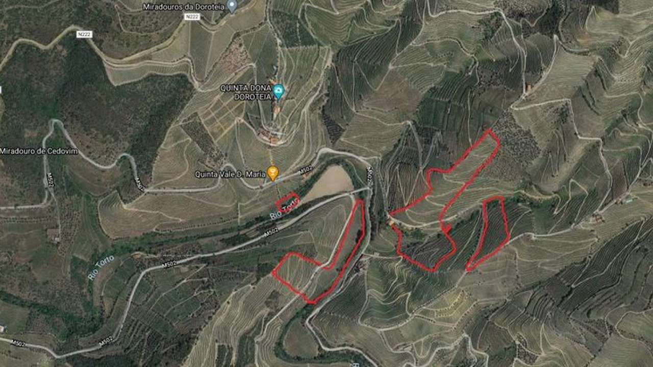 Terreno Agricola ou Rústico para Venda em Ervedosa do Douro Foto 11