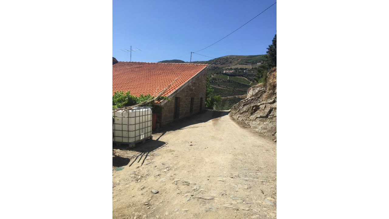 Terreno Agricola ou Rústico para Venda em Ervedosa do Douro Foto 14