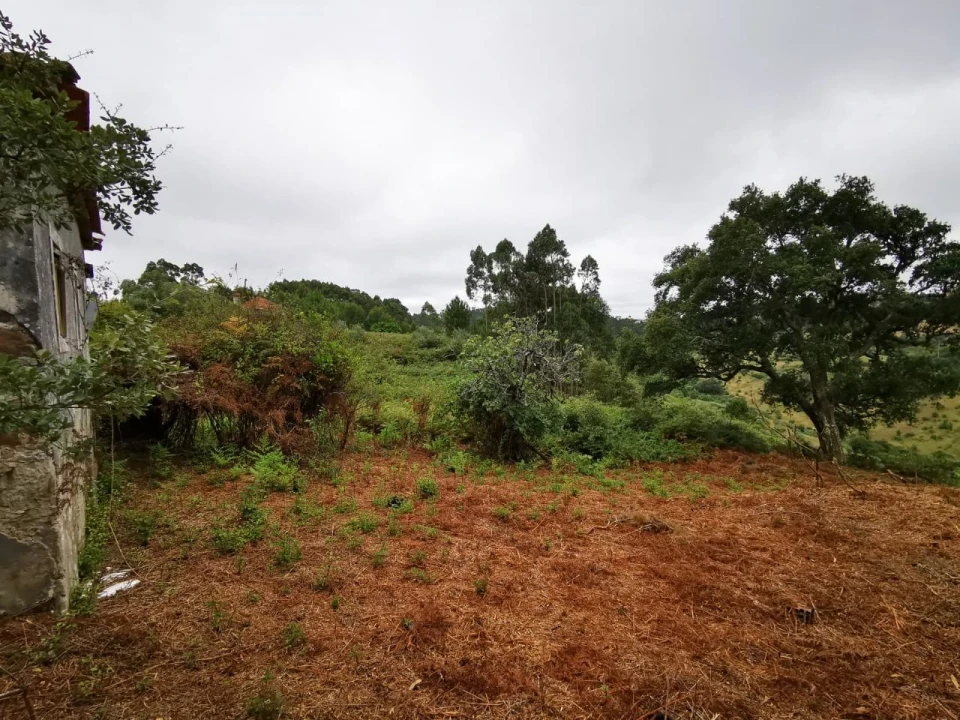 Moradia T4 para Venda em Portela da Memória Foto 3