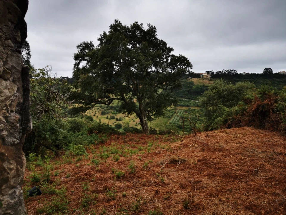 Moradia T4 para Venda em Portela da Memória Foto 2