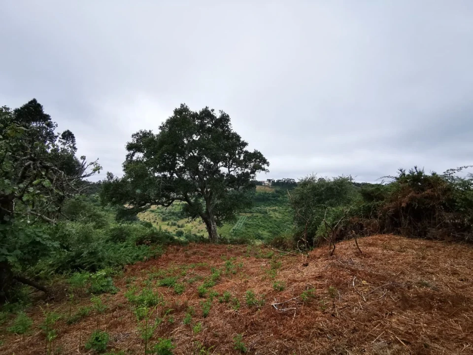 Moradia T4 para Venda em Portela da Memória Foto 4