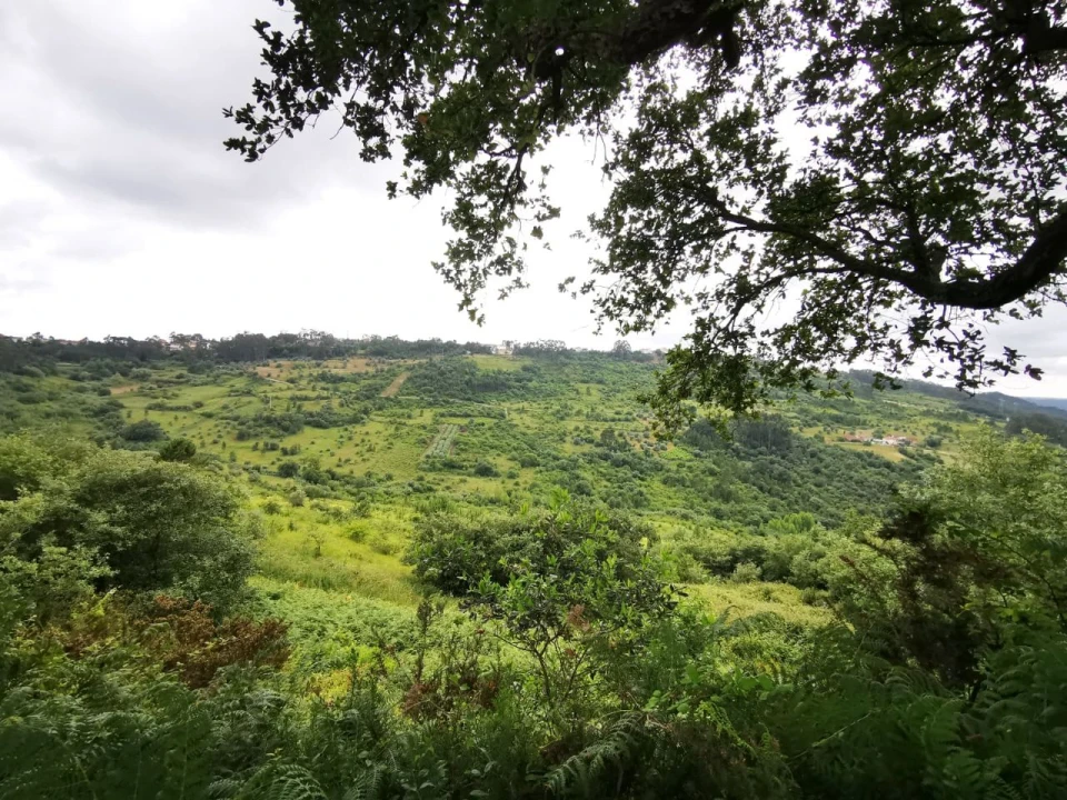 Moradia T4 para Venda em Portela da Memória Foto 5