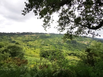 Moradia T4 para Venda em Portela da Memória