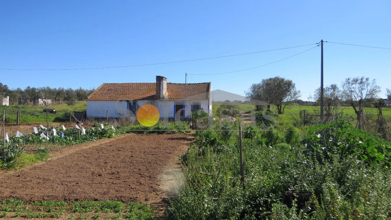 Terreno Misto para Venda em Santa Catarina Foto 2
