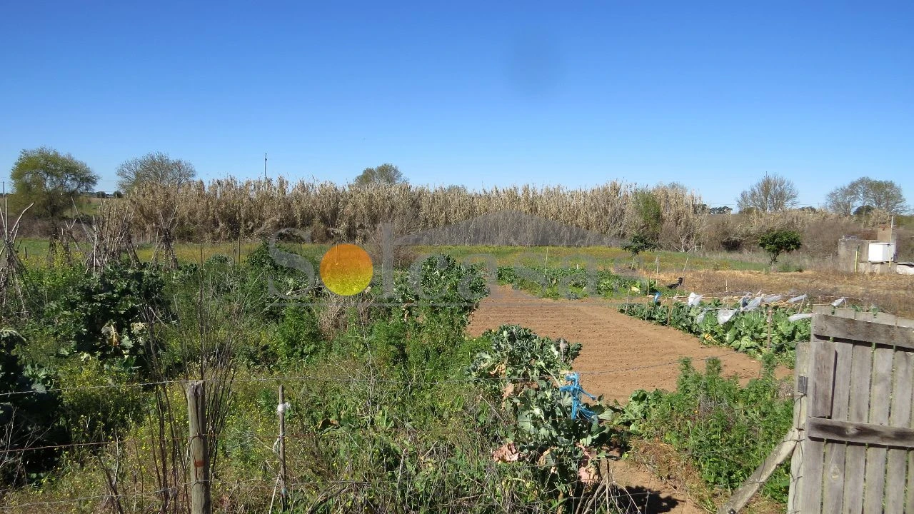 Terreno Misto para Venda em Santa Catarina Foto 7