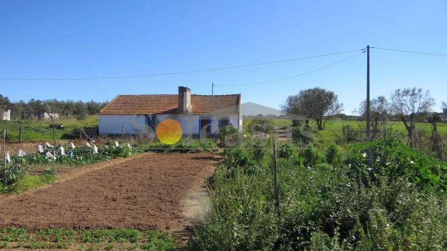Terreno Misto para Venda em Santa Catarina Foto 2