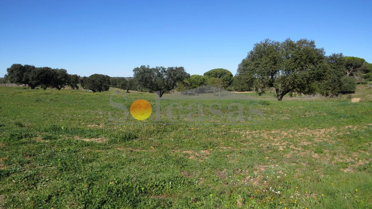 Terreno para Venda em Santa Catarina Foto 2