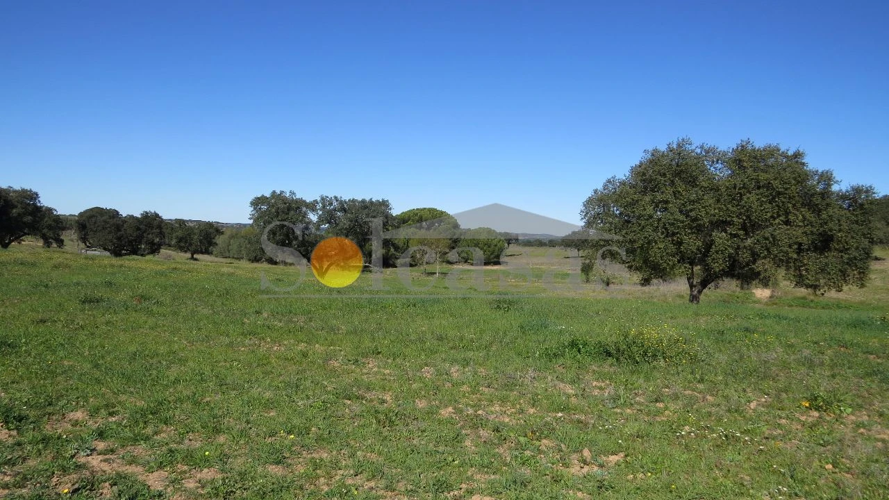 Terreno para Venda em Santa Catarina Foto 3
